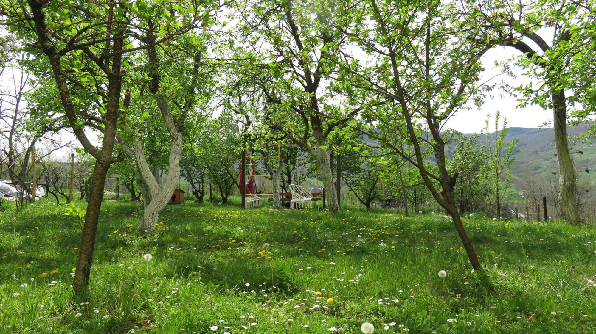 Guest House Pribojska Banja Exterior foto